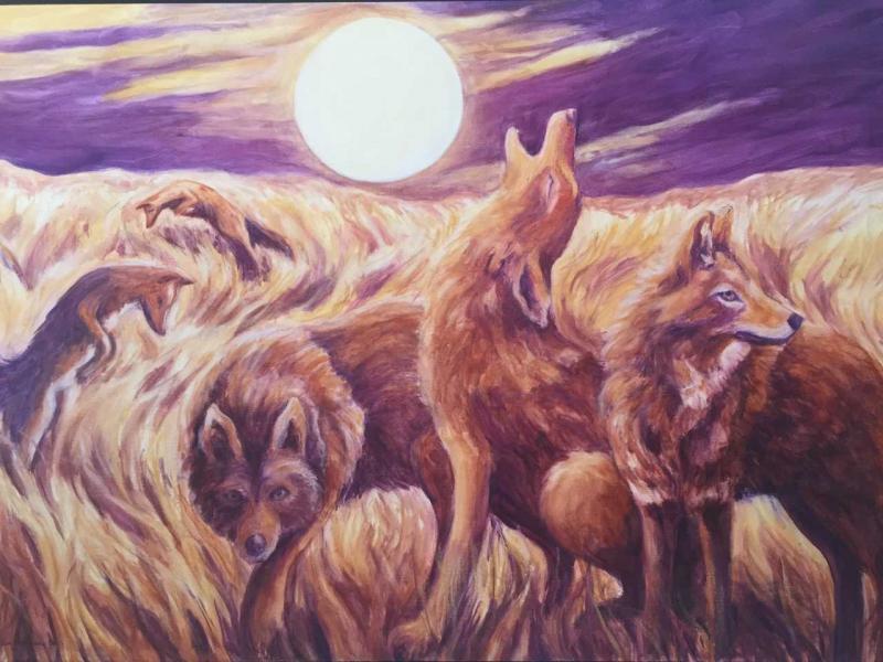 Coyote Medicine by Helen Warren